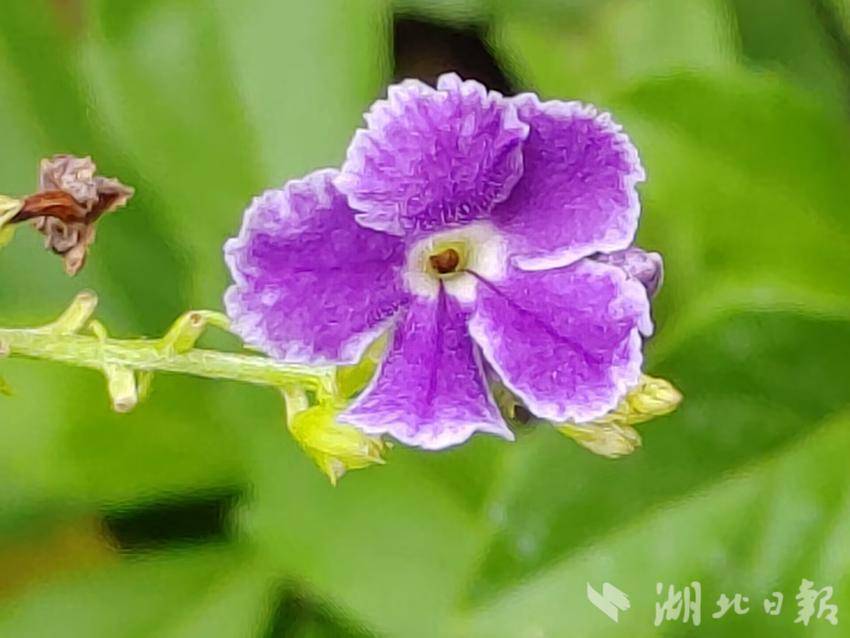 银河app充值